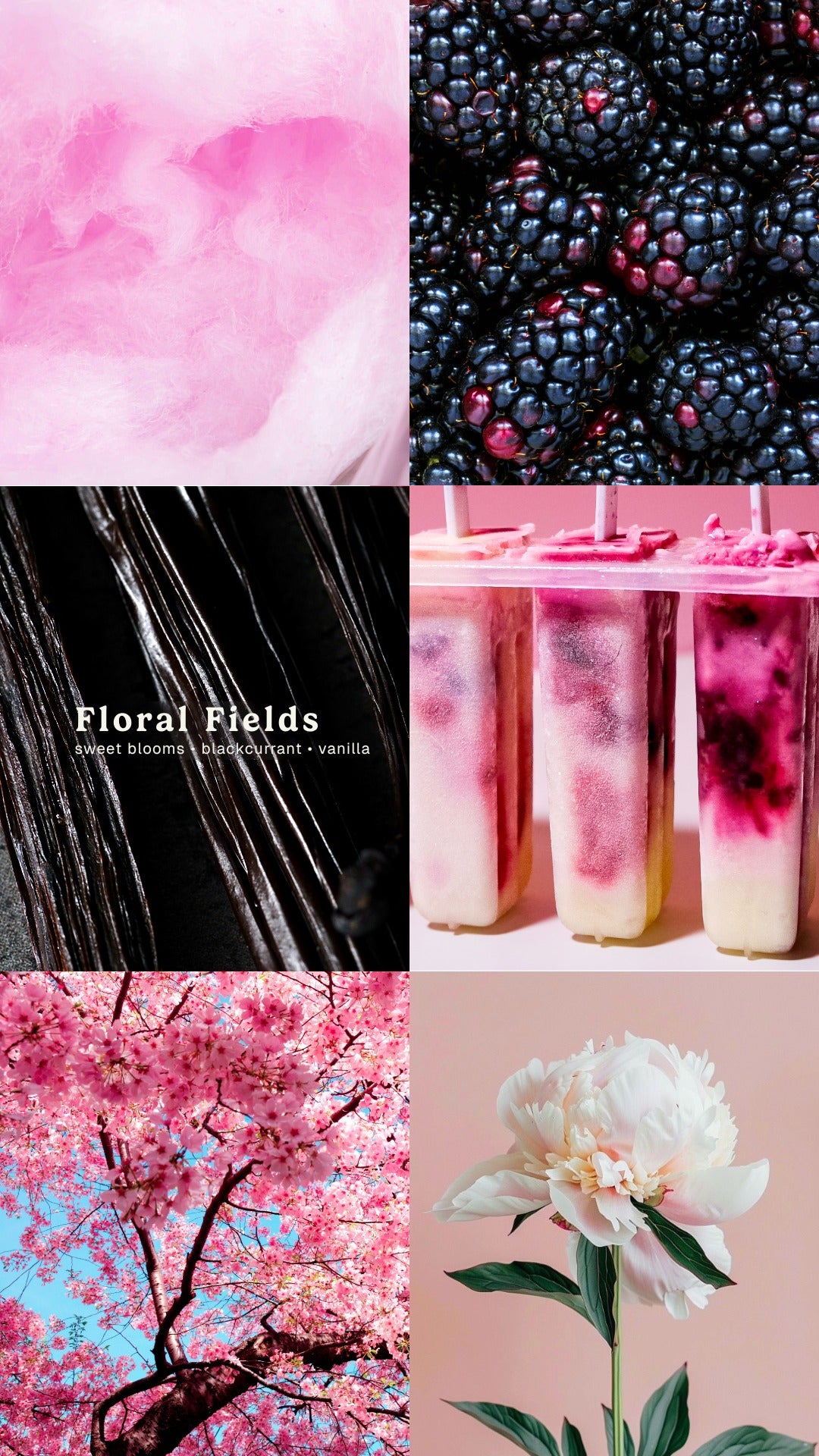 Collage of pink and black elements including flowers, berries, and cherry blossoms.