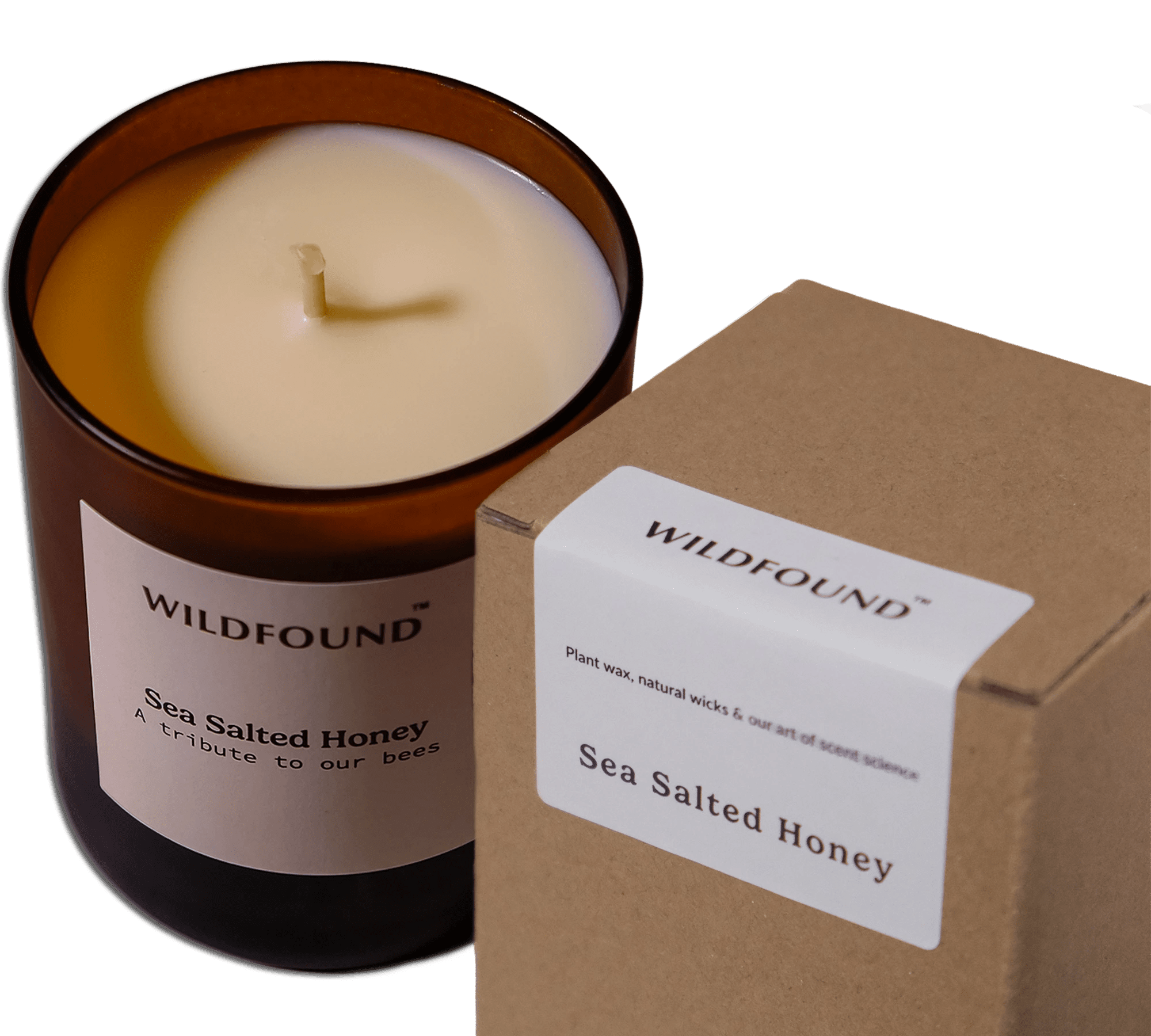 Sea Salted Honey - Wildfound Candle - Sea Salted Honey