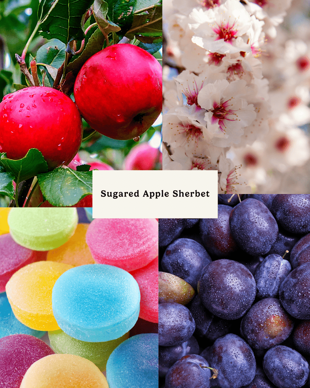 Multicoloured Peony Plant Wax Candle Gift Set - Wildfound Sculpted candle - Multicoloured Peony Plant Wax Candle Gift Set