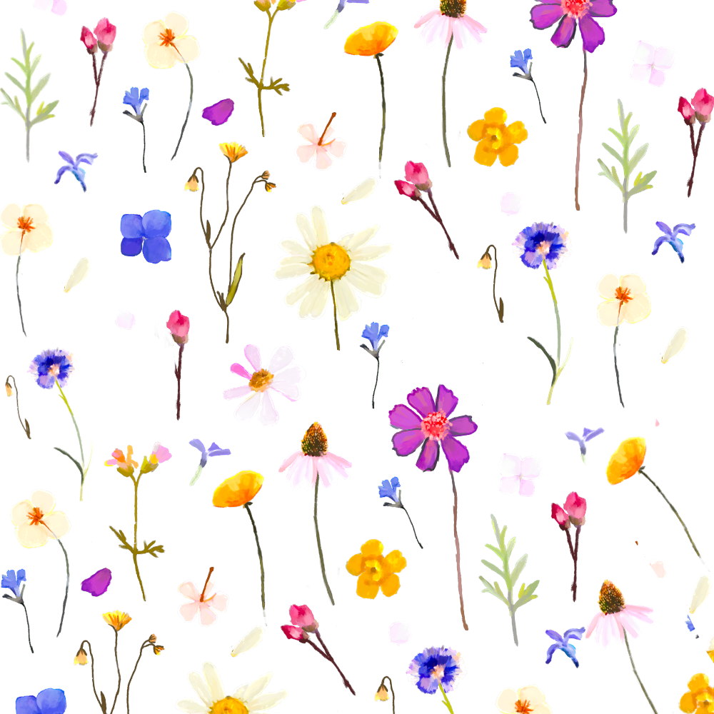 Pattern of colorful flowers on a white background